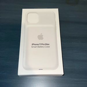 iPhone 11 Pro Max battery case